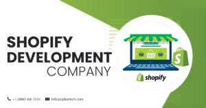 Damage Recovery Using Shopify Development Company