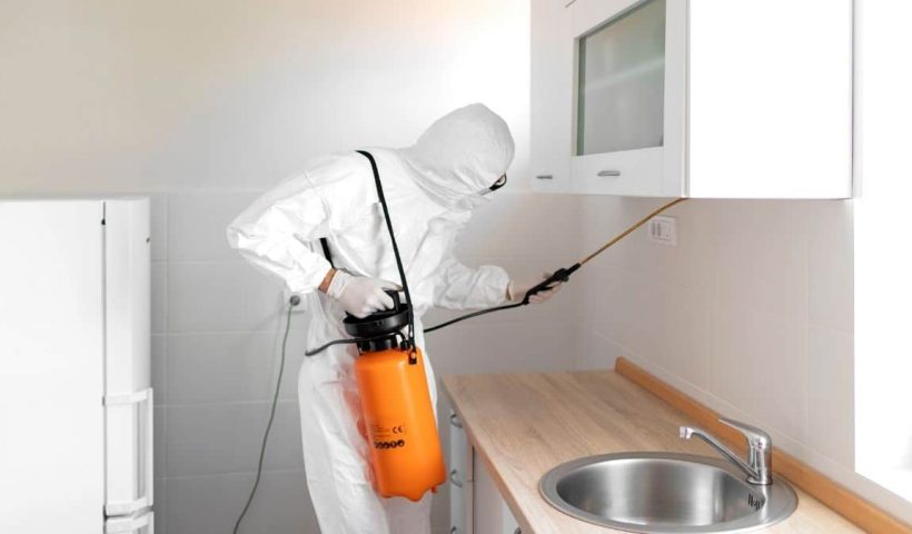 pest control