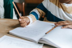 essay assignment help