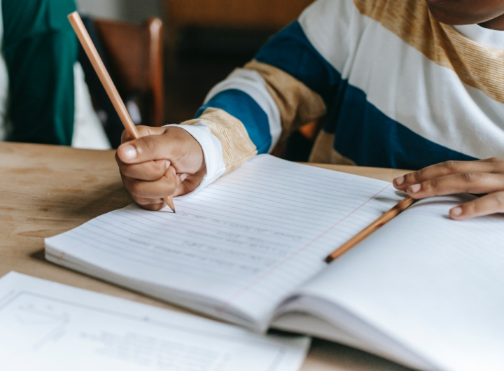 essay assignment help