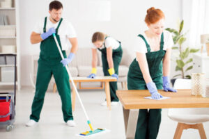 Z All surfaces dusted Z Carpet and area rugs vacuumed Z Upholstered furniture vacuumed Z Windowsills and window tracks cleaned (indoor) Z Garbage and recycling bins emptied Z Doorknobs, doorframes and doors cleaned Z Cushions and pillows fluffed and straightened out Z Glass tables and desks cleaned