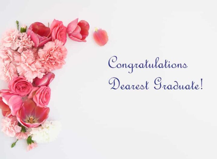 Make Your Celebration Memorable With Online Flowers Delivery In Chennai