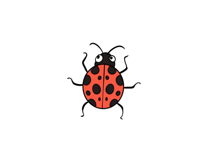 Draw A lady Bug