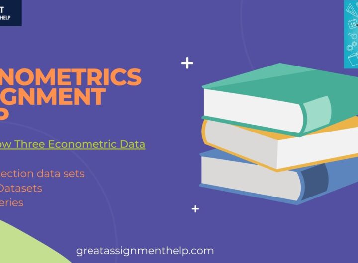 Econometrics Assignment Help (1)