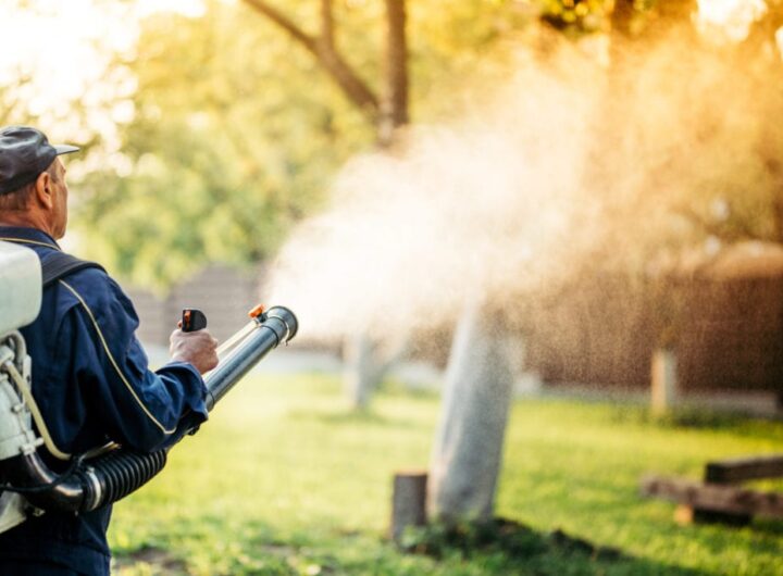 wildlife removal services