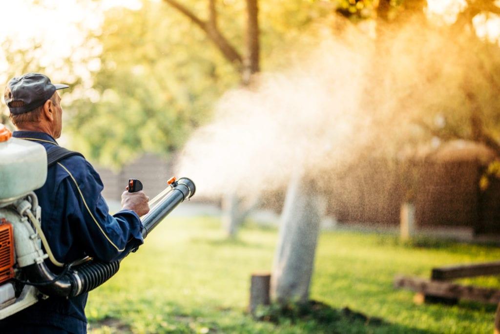 wildlife removal services