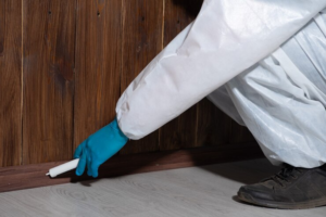termite control
