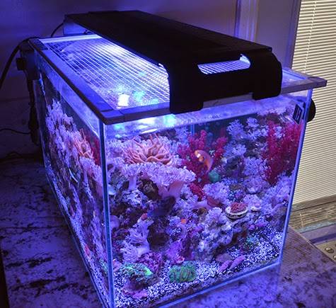 Tank lid