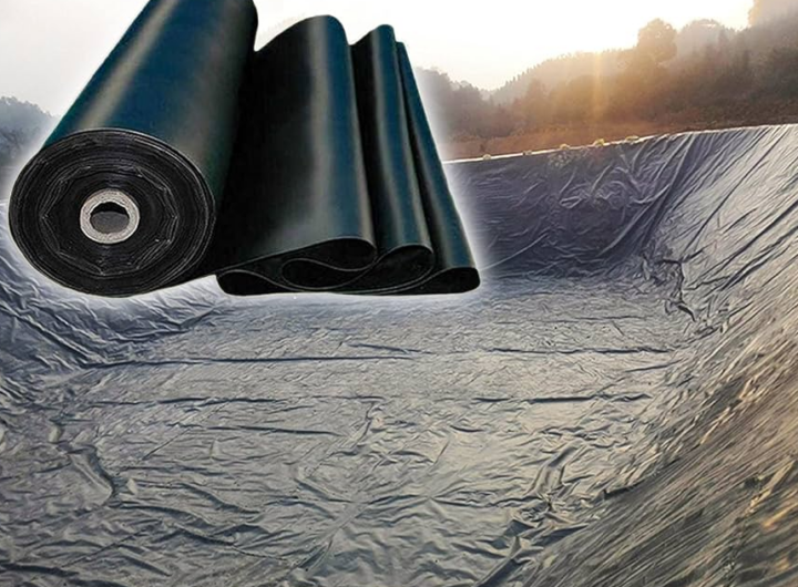 LDPE Sheet